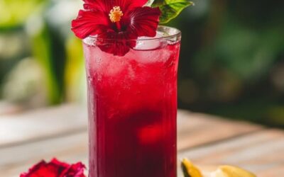 ¡Descubre el poderoso y refrescante Zumo de Hibisco para darle un giro exótico a tus bebidas!