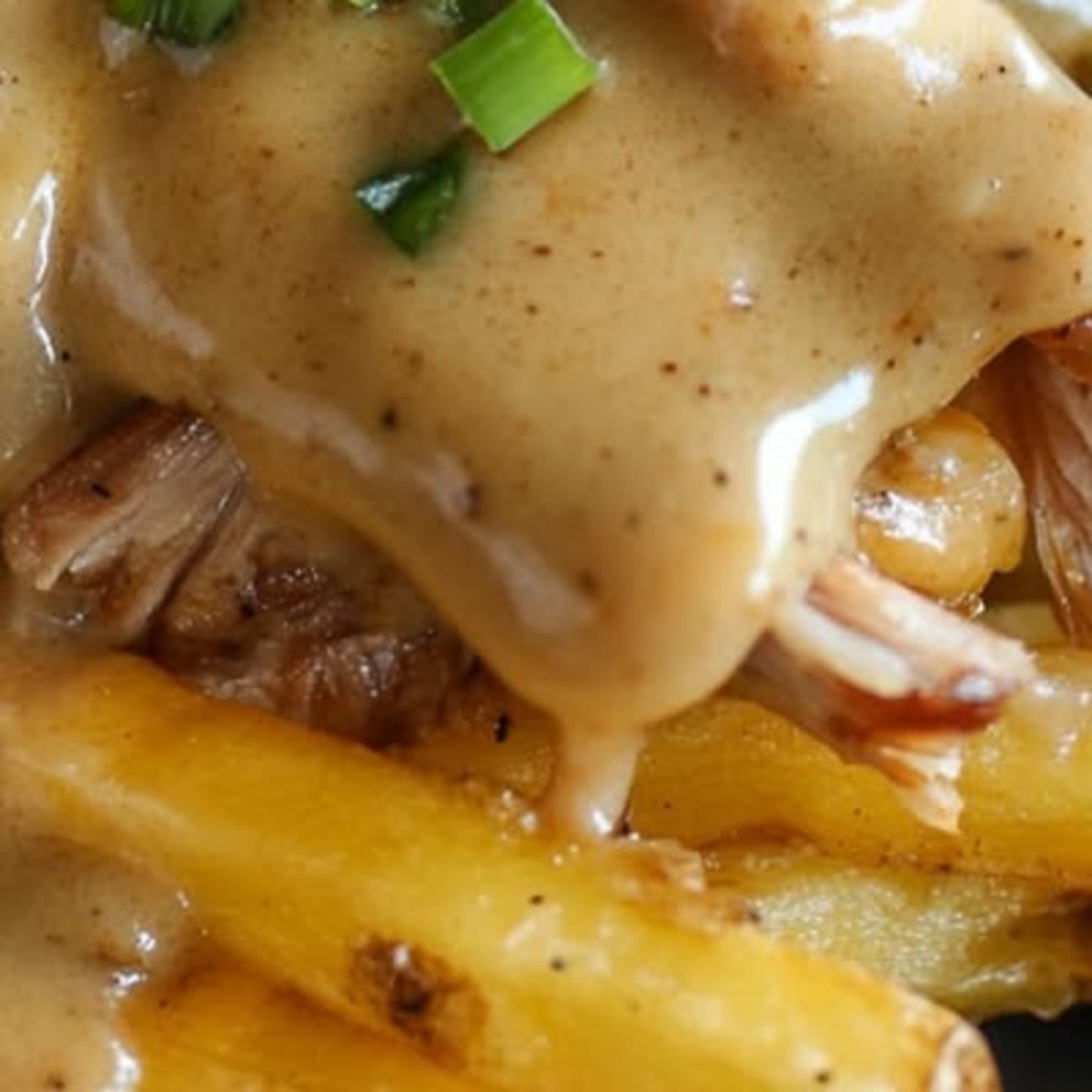 poutine-porc-fritas22