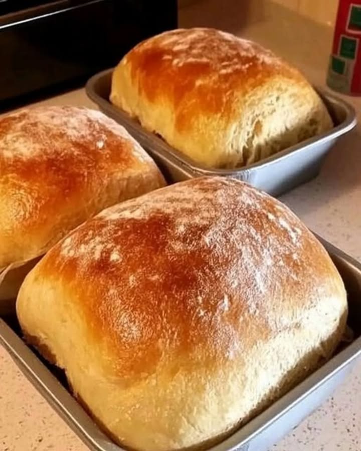 Pan Avena Saludable