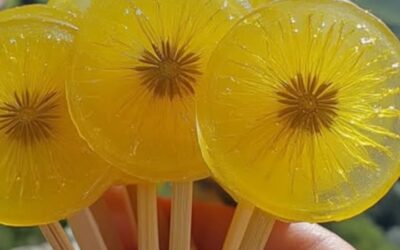 Sucettes de Pissenlit: Receta Fácil y Deliciosa