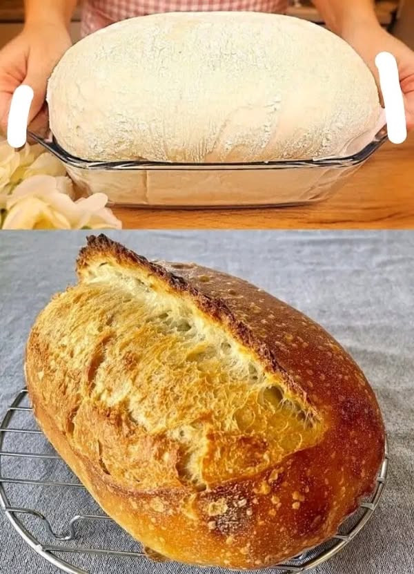 Pan Casero Abuelita: Receta Auténtica y Sabrosa